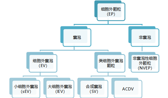 圖片2.png