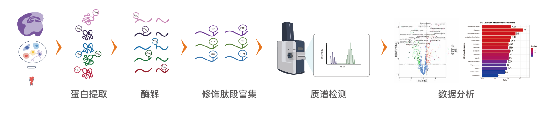 圖片6.png