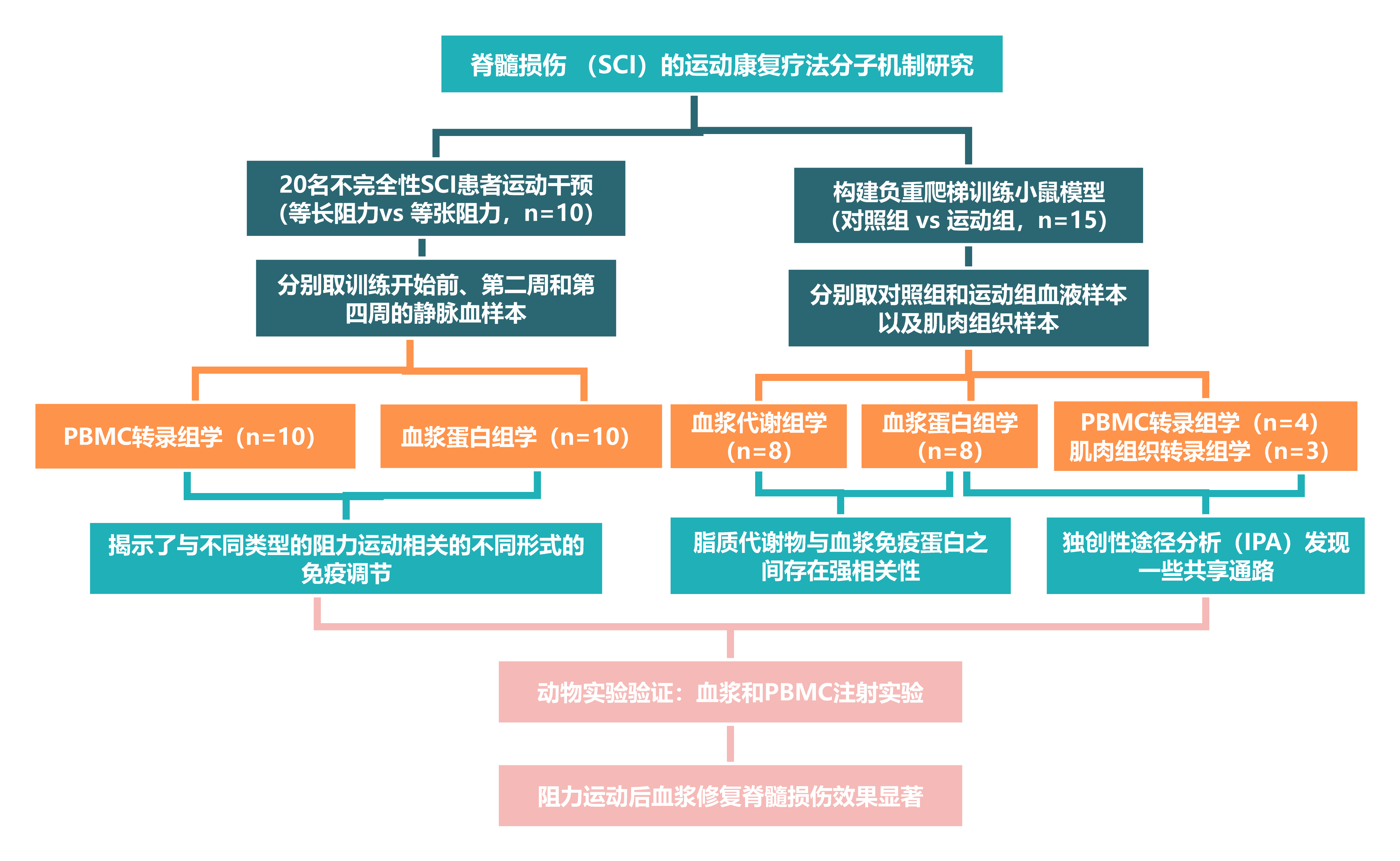 思維導圖可視化模型(4)(1)222.png